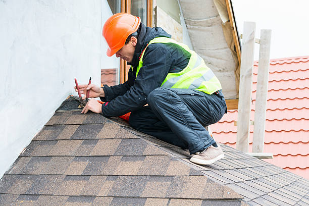Best Roof Gutter Cleaning  in Covington, GA